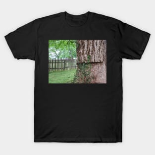 A tree and a fence T-Shirt